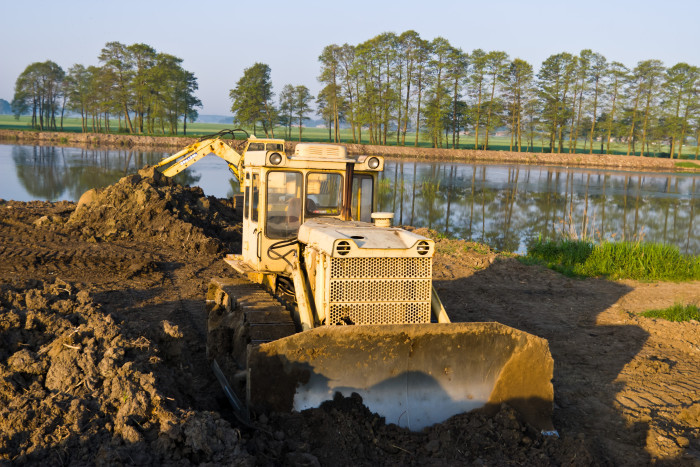 tree removal services land clearing