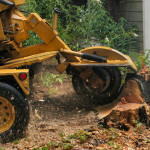 stump-removal