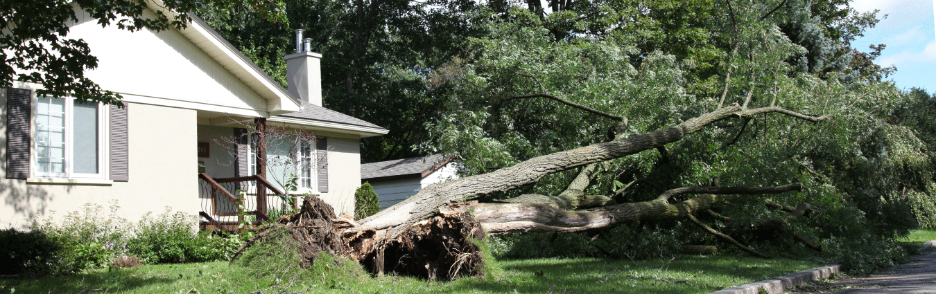 Storm damage insurance claims are our specialty!
