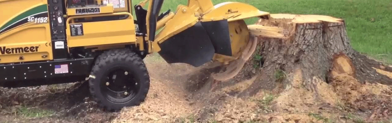 Reclaim your yard with our stump grinding services.